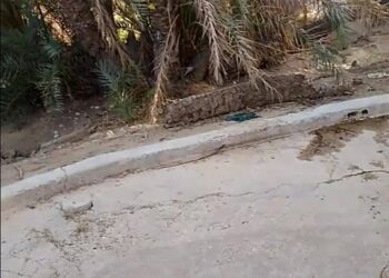 In some ways this was the original swimming pool of Hadhramout.

The first modern swimming pool in Tareem was built in B…