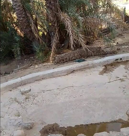 In some ways this was the original swimming pool of Hadhramout.
The first modern swimming pool in Tareem was built in B…