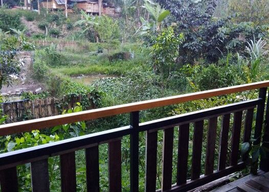 March 2019 @chalinfoodforest.

Run by a respectable chap who was my classmate at the Permaculture Design Course. He then…