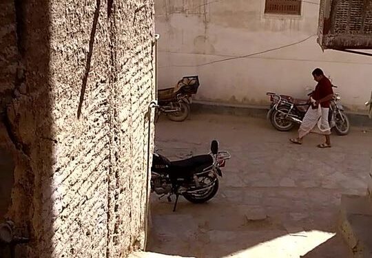 Modern method of making sesame seed oil.
Traditionally, it’ll be a blind folded camel walking many rounds, and this way…