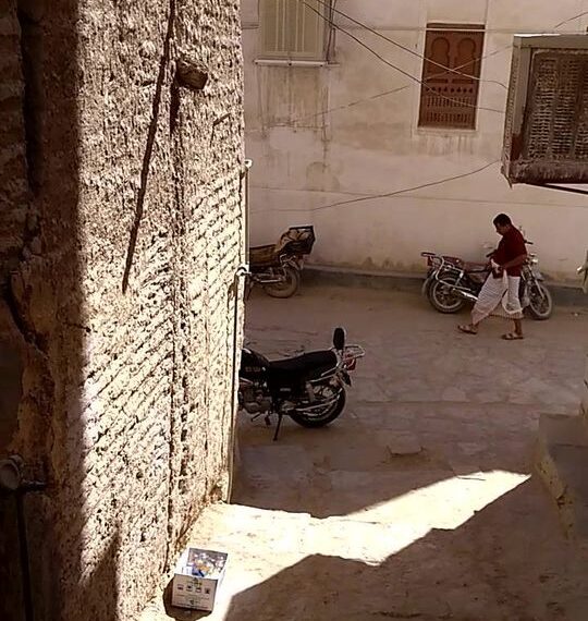 Modern method of making sesame seed oil.
Traditionally, it’ll be a blind folded camel walking many rounds, and this way…