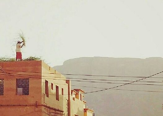 That man is not worshipping the sun.
He’s laying live branches yo. One with leaves, to begin constructing the ceiling …