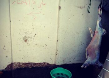 The essence though is the message.
And calligraphy is amazing. It truly is.
Despite the many lost of sacred art and n…