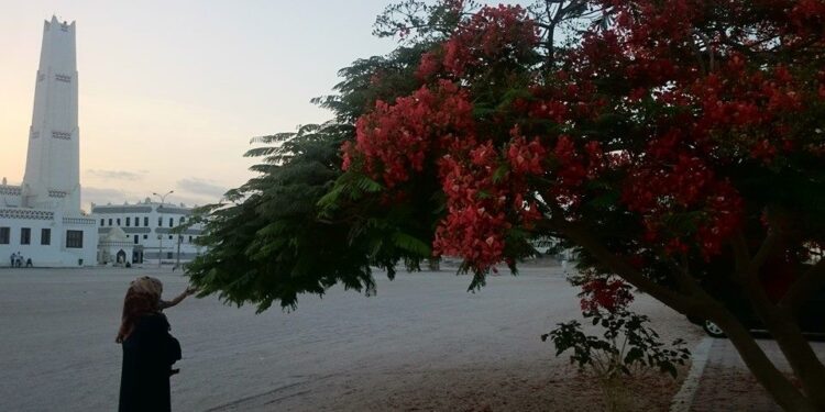 Bin Agil mosque, Salalah, Oman. 

Apparently this mosque, and area, is the Tareem/Hadhramout of Salalah. 

Many function…