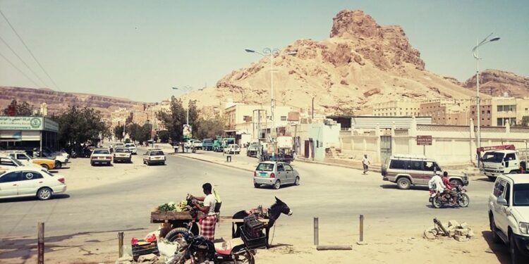 Got spinach and bagl from this donkey cart. Trading solo at the Farmer’s Market. Next to the busiest junction in #Tareem…