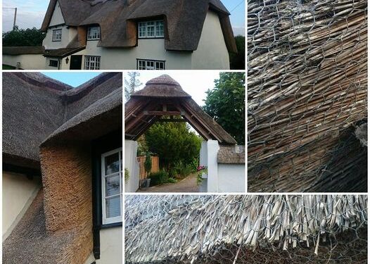 This is a traditional thatch-roofed English house. It and it’s craft are disappearing unfortunately.

A few nights ago, …