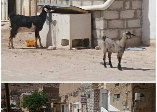 ‘This is an unfortunate neighbourhood.’

Said a friend who moved to another house in an area more pleasant than before. …